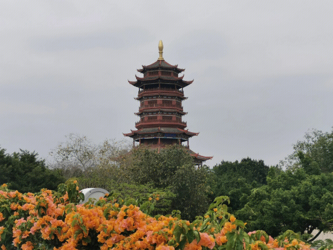 厦门园博苑景点深度解析，厦门园博苑景点深度探索与解析