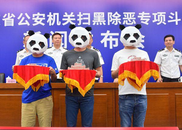 新闻发布会关于中考的最新动态与深度解读，中考最新动态深度解读新闻发布会