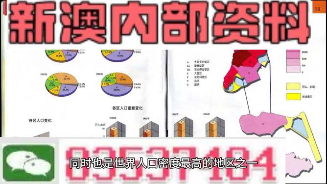 新澳门正版免费资料的查找方法与解析，澳门正版免费资料查找方法与解析指南