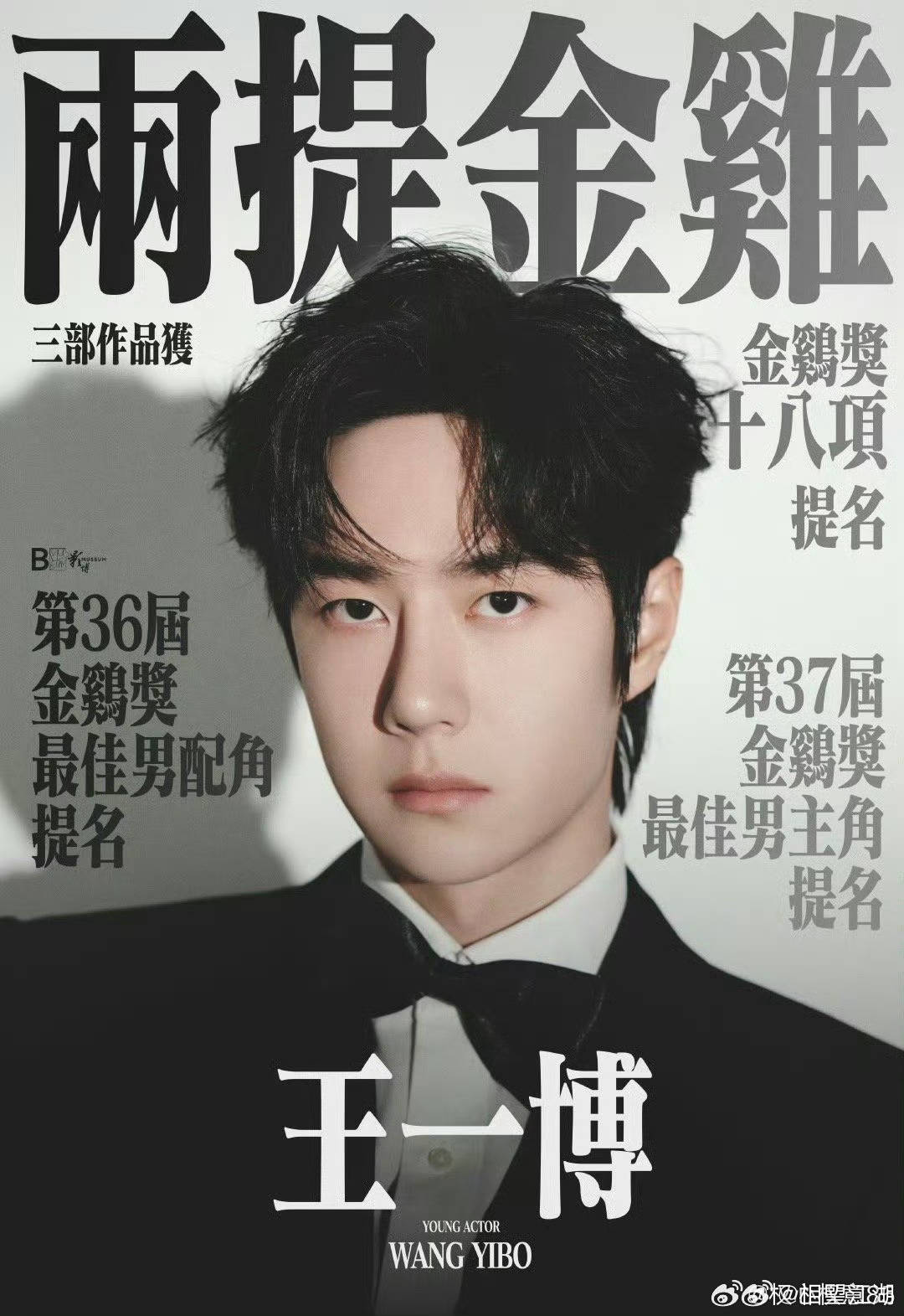 王中王一肖中特资料研究与应用，王中王一肖中特资料深度研究与应用探索