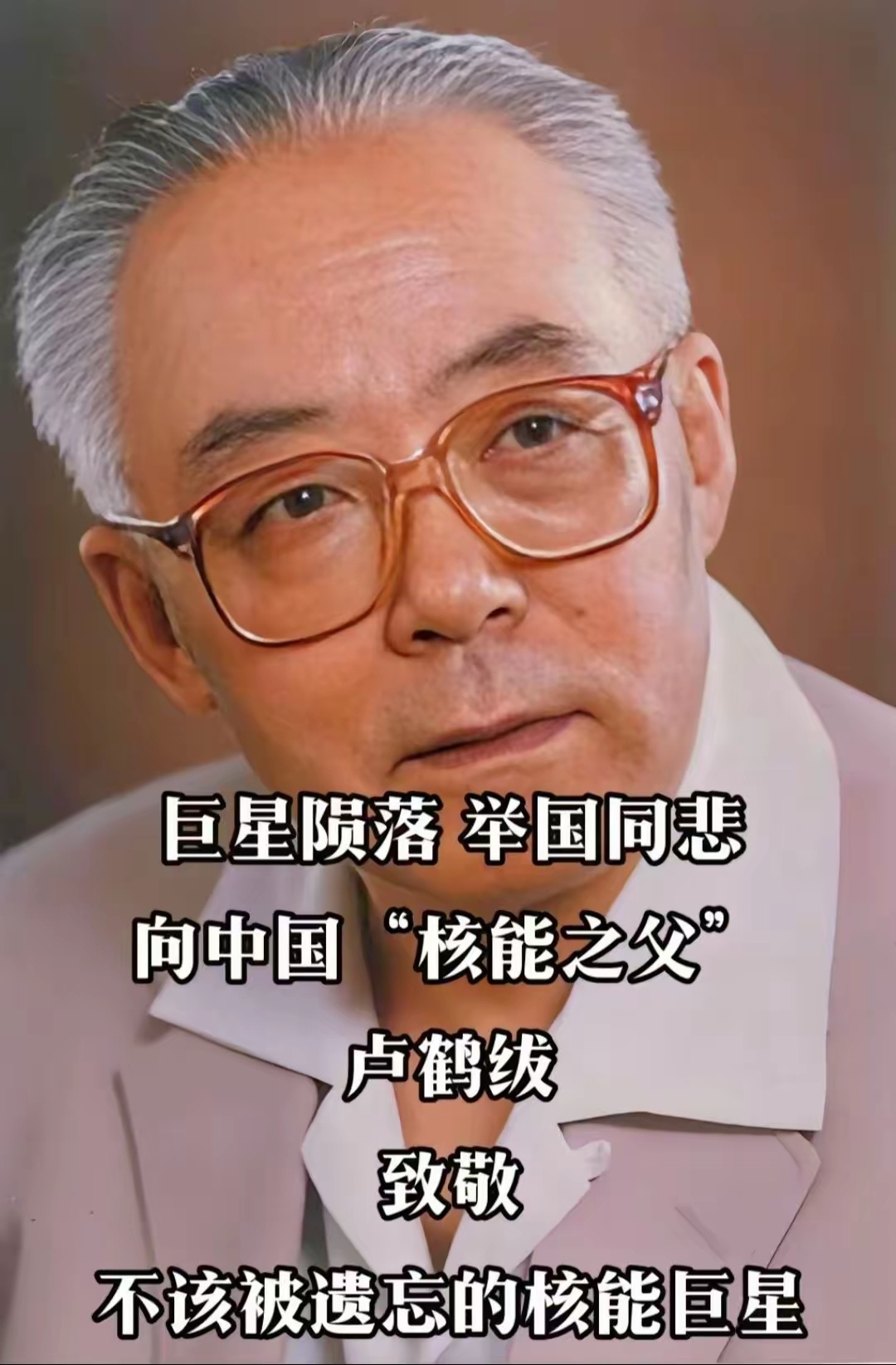 卢鹤绂,一代宗师,卓越科学家的光辉人生,卢鹤绂,卓越科学家的光辉人生,一代宗师之典范