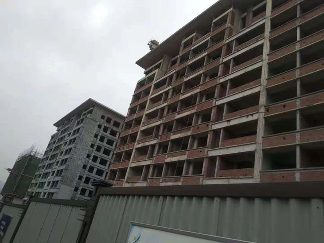 王中王欲钱猜一肖，生肖之迷与财富之趣，生肖之谜，财富之趣与生肖运势探寻