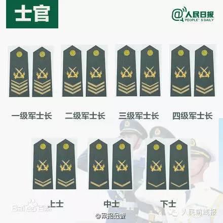 部队军衔改革方案，部队军衔改革方案公布