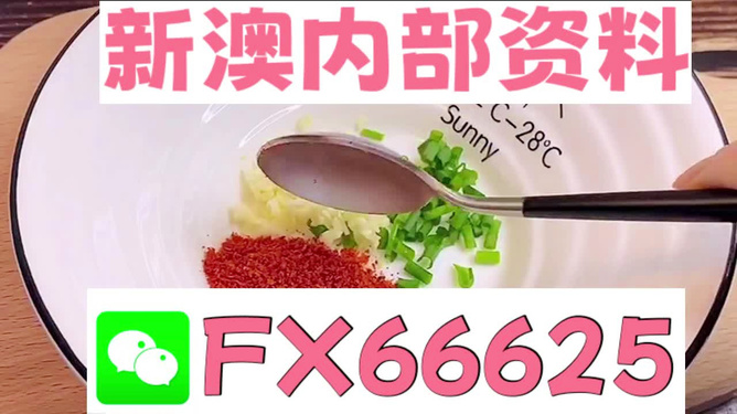 新澳全年免费资料大全，探索与收获，新澳全年免费资料大全，探索之旅与收获的时刻