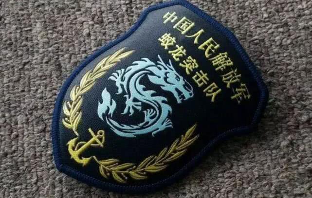中国人民武装警察部队特种臂章，荣耀与使命的象征，中国人民武装警察部队特种臂章，荣耀与使命的徽章