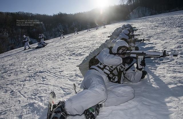 陆军雪地迷彩,独特魅力与实战价值,陆军雪地迷彩的独特魅力与实战价值解析