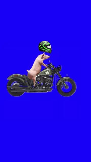 探索军旅风采,参军入伍视频素材的魅力与启示,军旅风采探索,入伍视频素材的魅力与启示