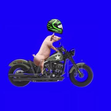 探索军旅风采,参军入伍视频素材的魅力与启示,军旅风采探索,入伍视频素材的魅力与启示