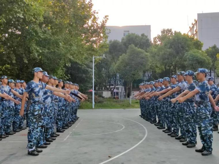 雄赳赳气昂昂，探寻这首歌的歌名及其背后的故事，雄赳赳气昂昂，探寻这首歌名背后的故事与深意