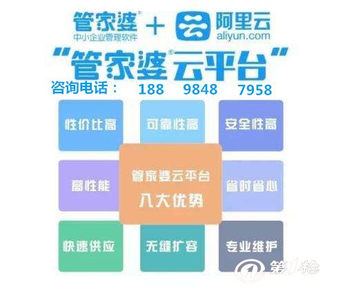 管家婆的资料一肖中特，深度解析与探索，管家婆资料揭秘，深度解析与探索一肖中特秘密