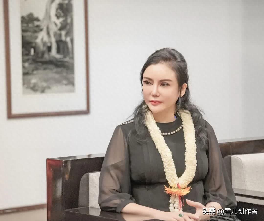 国际战略研究所，探索全球战略格局的先锋力量，国际战略研究所，全球战略格局探索的先锋力量