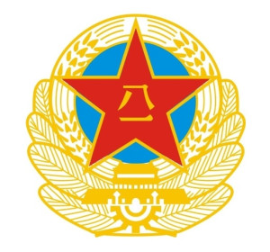 中国人民解放军的缩写及其历史与使命，中国人民解放军的缩写及其历史使命概览