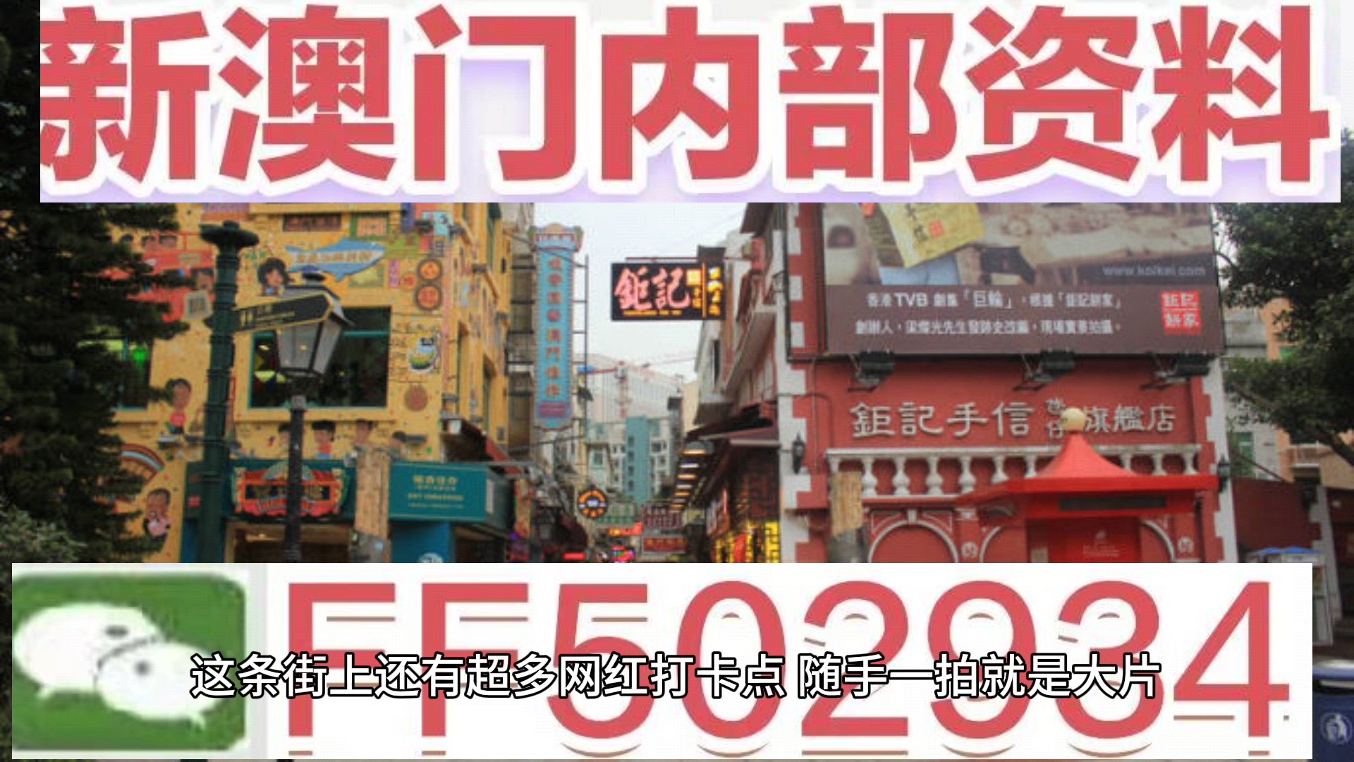 新澳门资料大全正版资料2025年免费下载，全面解析与深度探索，澳门正版资料解析与深度探索，新澳门资料大全 2025年免费下载版