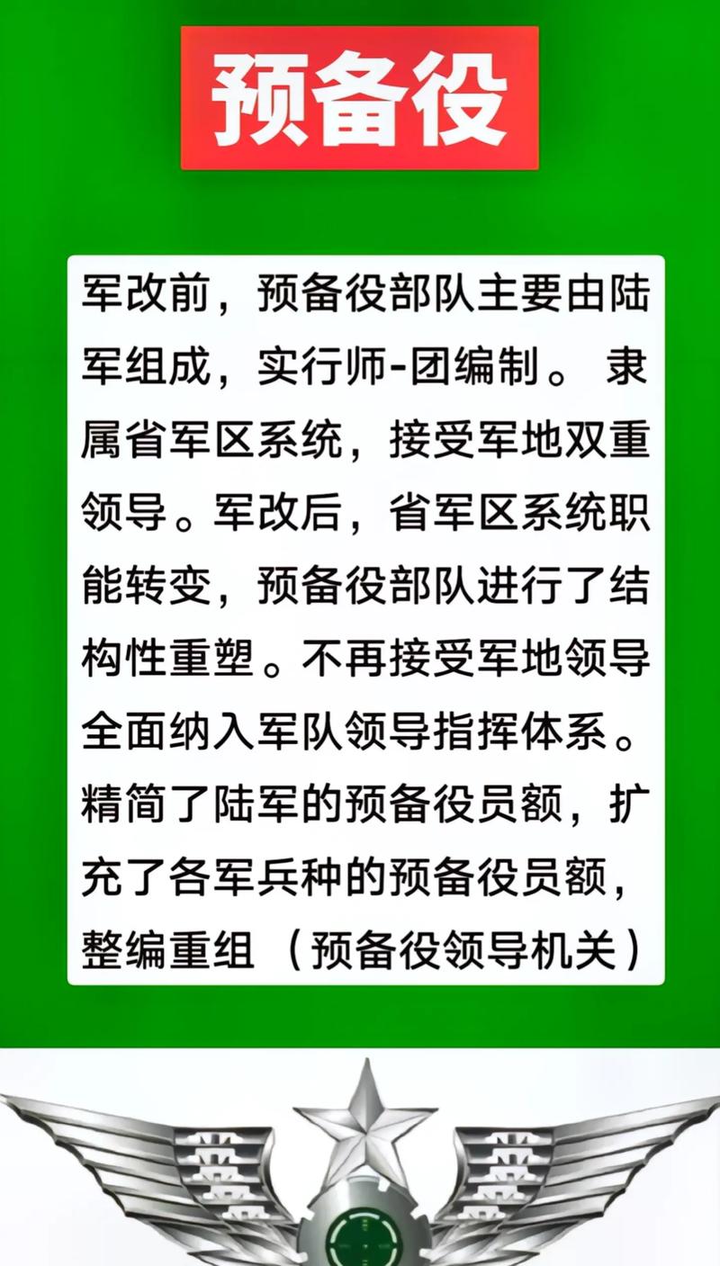 预备役改革最详细方案,预备役改革最全面详细方案揭秘