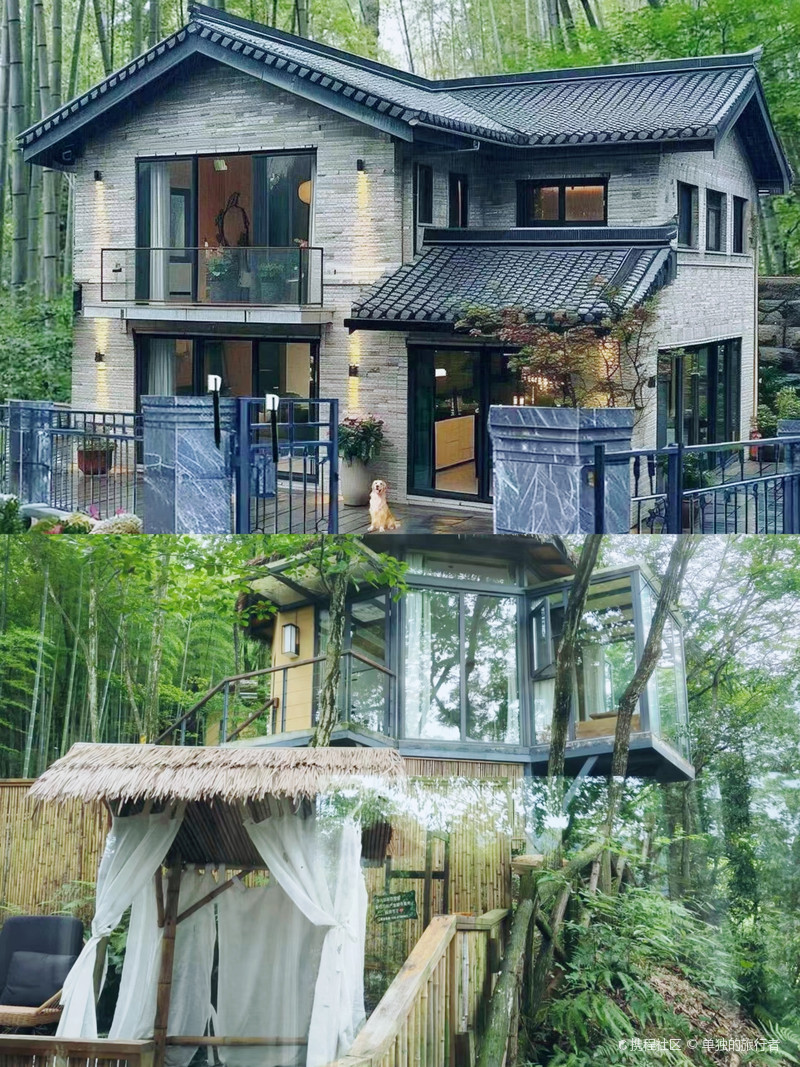 天涯论坛青城山镇宿仙社区，网络与现实交汇的社区生活，天涯论坛青城山镇宿仙社区，网络与现实交融的社区生活