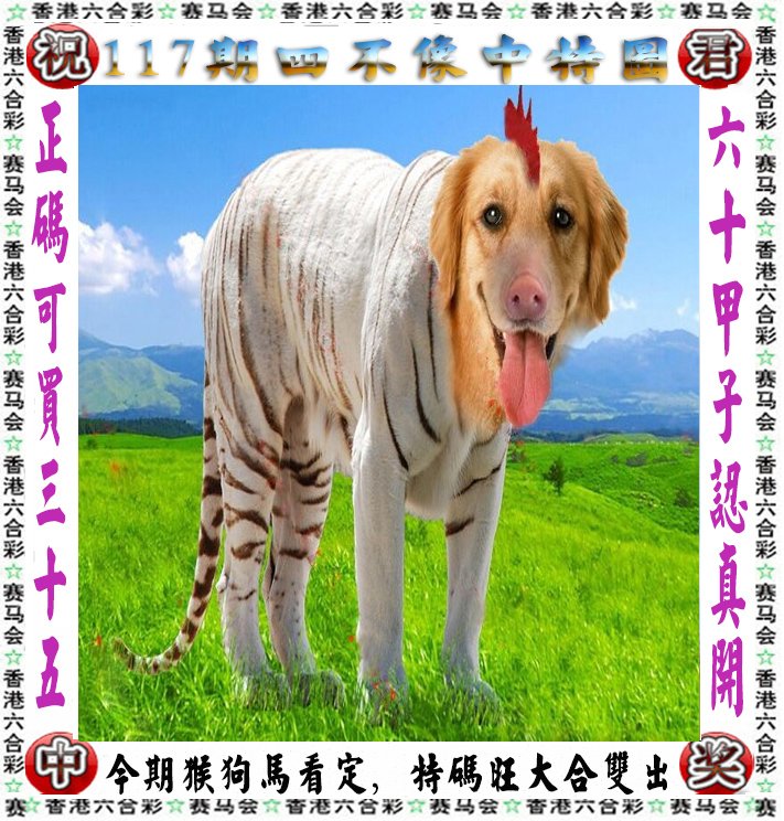 四不像王中王心出一肖——探寻神秘文化符号的魅力，探寻神秘文化符号的魅力，四不像王中王心出一肖揭秘