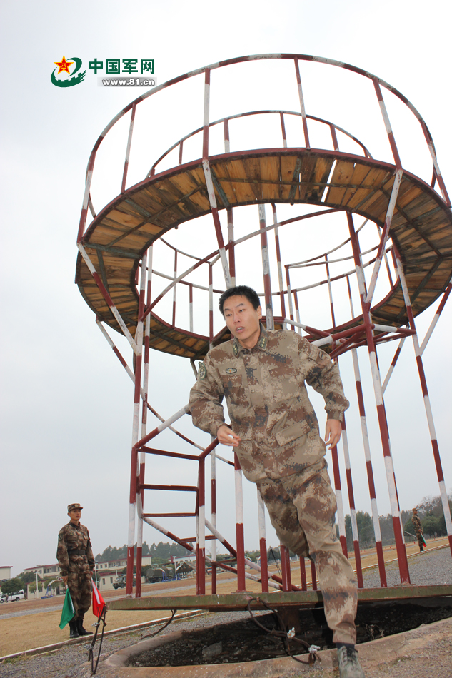 揭秘中国人民解放军陆军第41集团军作训处，职责、职能与重要性，中国人民解放军陆军第41集团军作训处，职责、职能与重要性揭秘