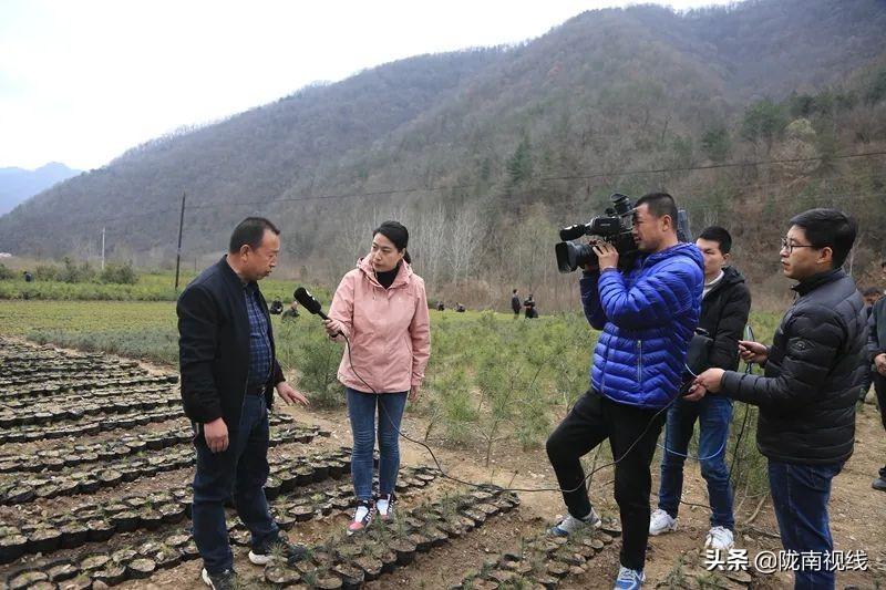 央视新闻联播直播，传递时代声音，展现中国力量，央视新闻联播直播，展现中国力量，传递时代强音