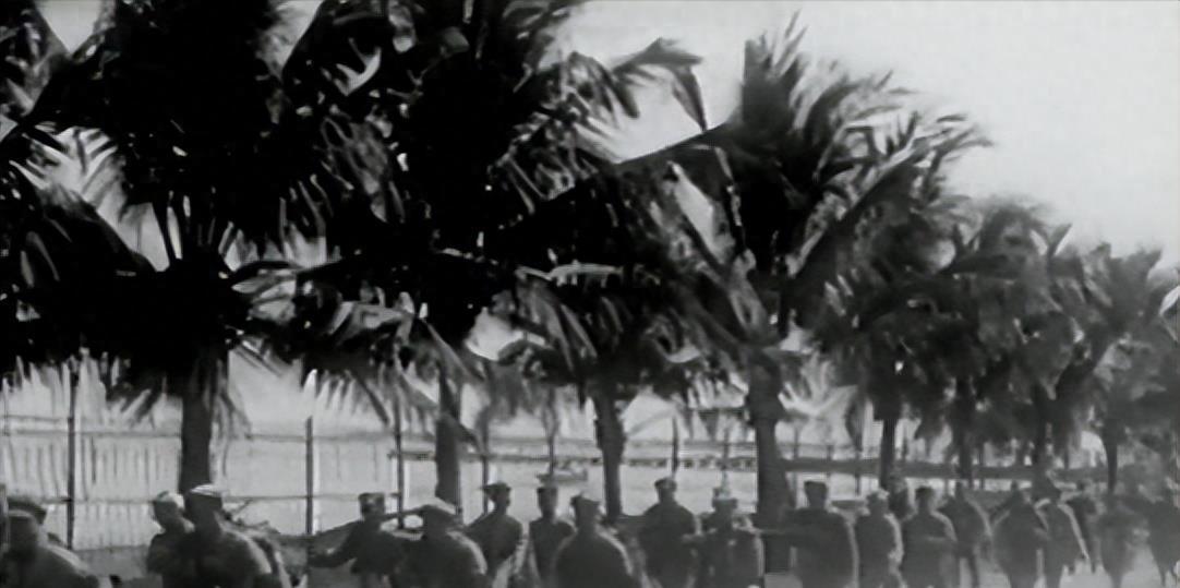 海南岛战役基本情况概述，海南岛战役概览