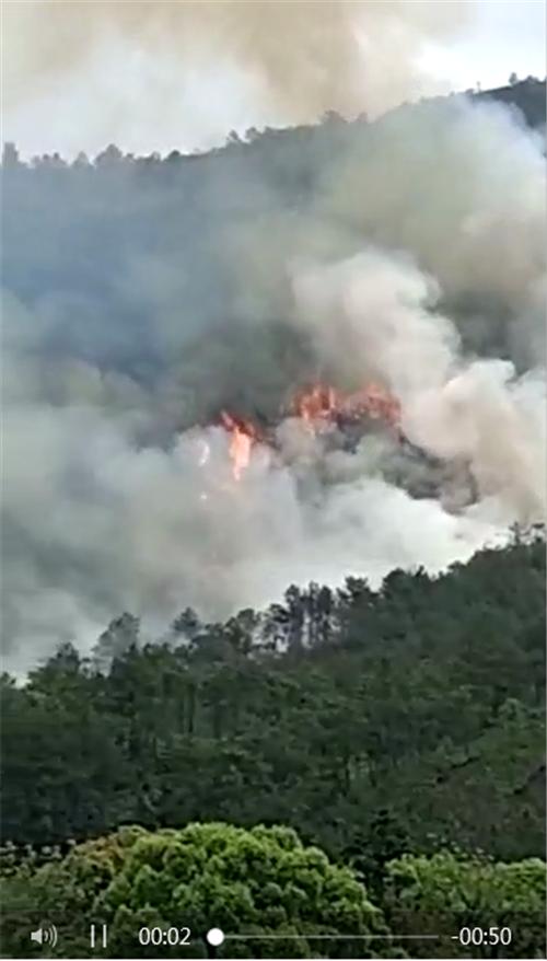 最新消息关于东航客机坠毁事故的深度解析，东航客机坠毁事故深度解析及最新消息