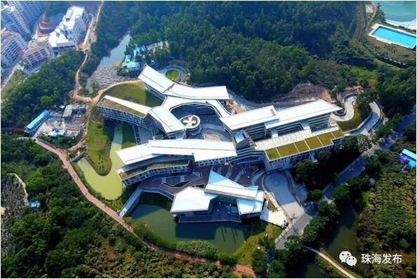 2024年国际大事记概览，2024年国际大事记概览