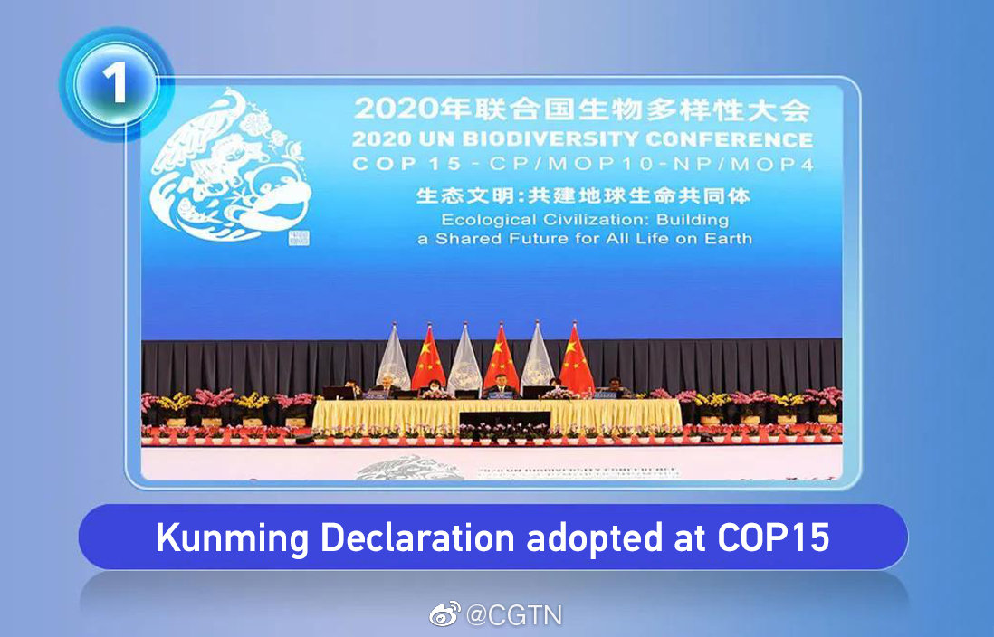 2021国际时事新闻概览，2021国际时事新闻概览回顾与解析