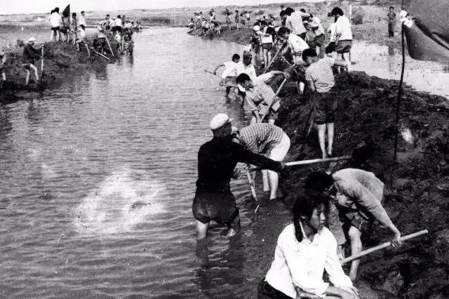 军垦战歌,一曲时代的赞歌与精神的传承,军垦战歌,时代赞歌与精神的传承之旅