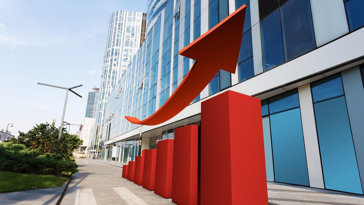 王中王、肖一特一中投资情况深度解析，王中王、肖一特投资情况深度剖析