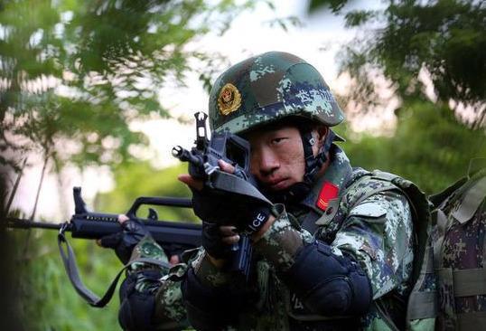 武警与陆军的区别，职责、职能与差异分析，武警与陆军职责差异解析，职责、职能对比分析