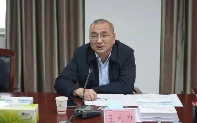 空降兵15军王大力,英勇无畏的战士与时代先锋,英勇战士王大力,空降兵15军的先锋典范