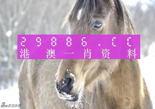 澳门一肖一码100%准确?考研
