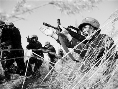 集团军与军区的区别,组织结构和职能差异分析,集团军与军区组织结构及职能差异深度解析,差异分析揭秘其不同点