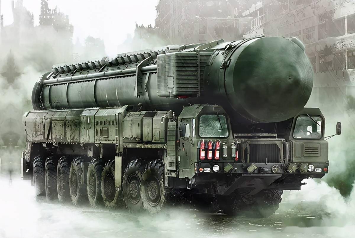 白杨与路,一次关于前行与坚韧的旅程,白杨与路,坚韧前行的旅程