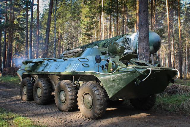 白杨与路,一次关于前行与坚韧的旅程,白杨与路,坚韧前行的旅程