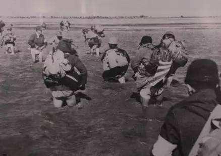 中国海上武器装备，迈向深蓝的战略力量，中国海上武器迈向深蓝，战略力量的崛起