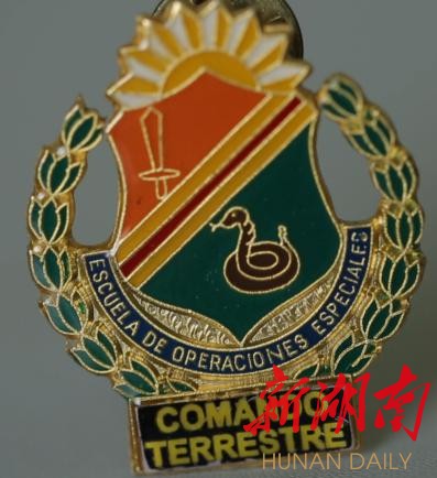 猎人学校毕业勋章,荣耀与成长的象征,猎人学校毕业勋章,荣耀之巅与成长之路的里程碑