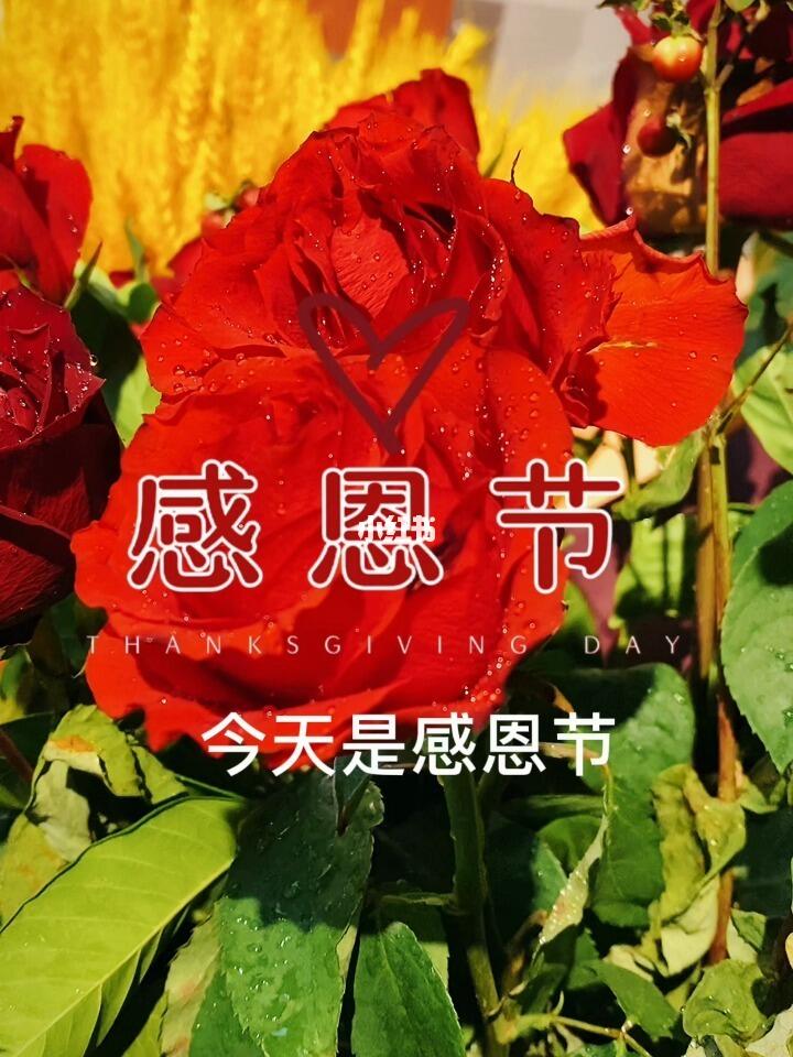 今天是感恩节，感恩的力量与美好的分享，感恩节，感恩的力量与美好分享的时刻