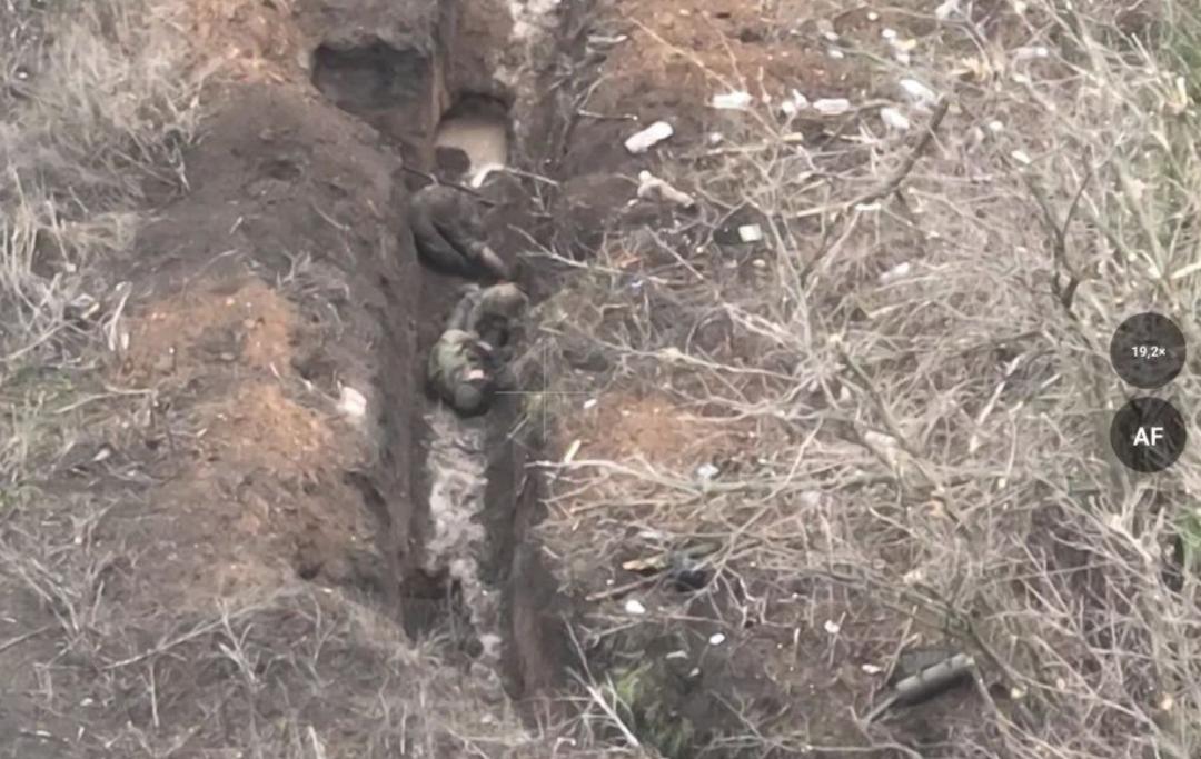 俄乌战况损失深度分析——以11月18日为中心的观察,俄乌战况深度解析,以损失分析视角看11月18日战局态势