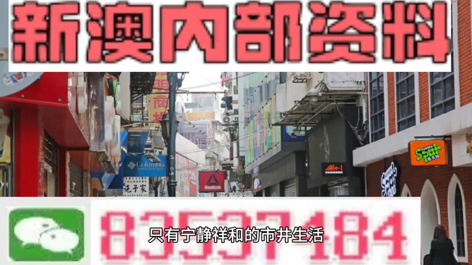 新门内部资料精准大全，深度探索与全面解读，新门内部资料深度探索与全面解读秘籍大全