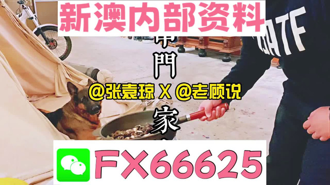 澳门管家婆资料正版大全——揭秘澳门博彩业背后的秘密武器，澳门博彩业背后的秘密武器，正版管家婆资料大全揭秘