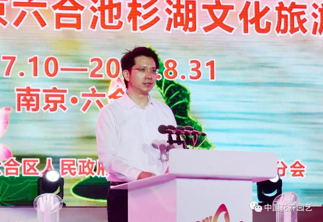 澳门六和开奖结果——今日开奖详探，澳门六和今日开奖结果揭秘