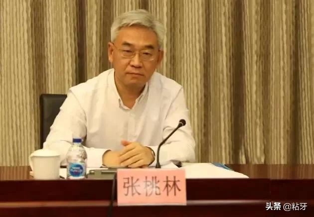 空军第十五军编制研究，历史、现状与发展趋势，空军第十五军编制研究，历史沿革、现状透视与未来发展趋势探索