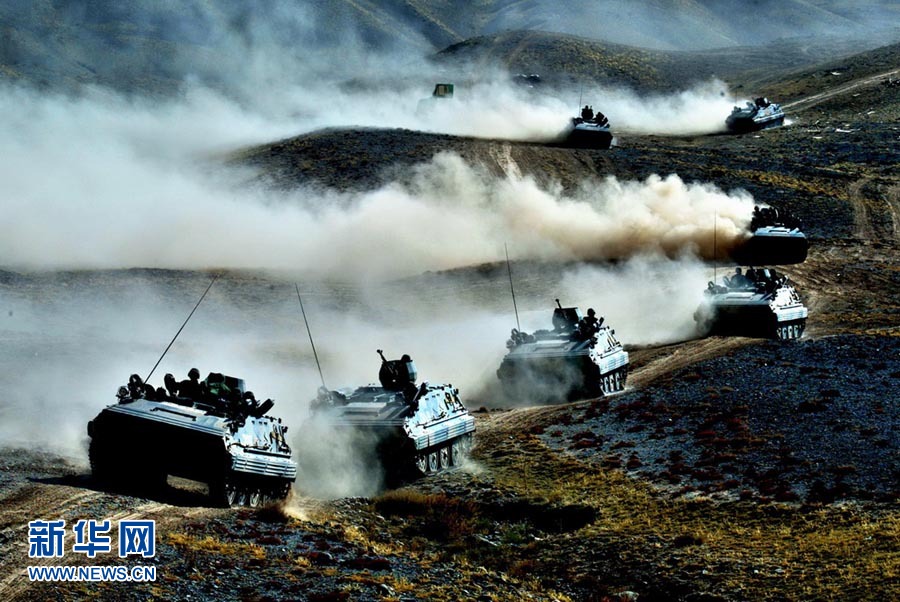 军事综合信息网强军网，构建现代化军事力量的关键支柱，军事综合信息网强军网，现代化军事力量的核心支柱支撑