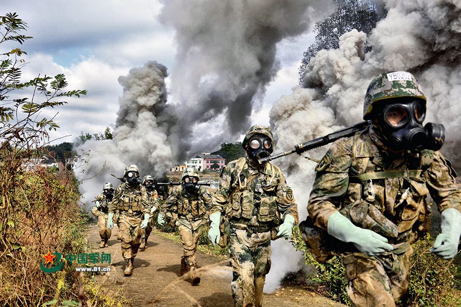 军事综合信息网强军网,构建现代化军事力量的关键支柱,军事综合信息网强军网,现代化军事力量的核心支柱支撑