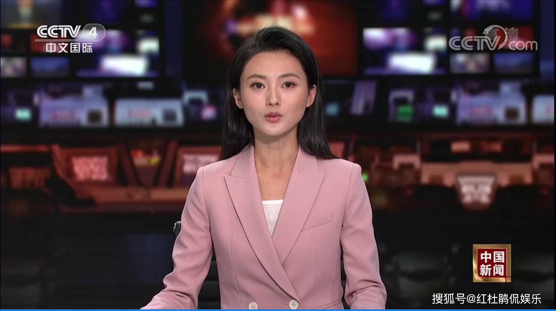 国际观察下的西瓜视频与主持人苏琳的多元魅力,国际视角下的西瓜视频与主持人苏琳的多元魅力