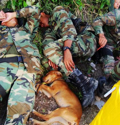 猎人学院的残酷真相,猎人学院的残酷真相揭秘