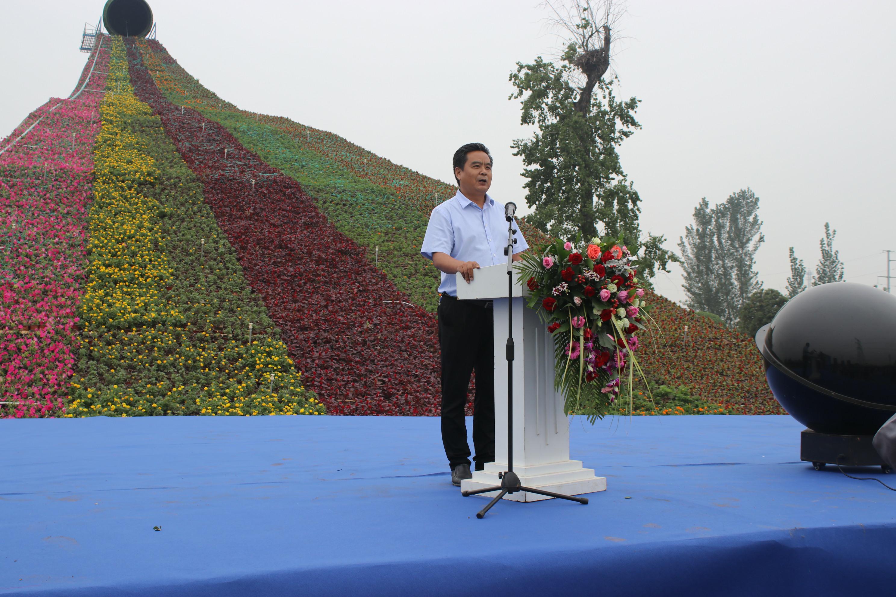 世界新闻报视频,捕捉全球动态的视觉窗口,全球动态捕捉,世界新闻报视频视觉窗口