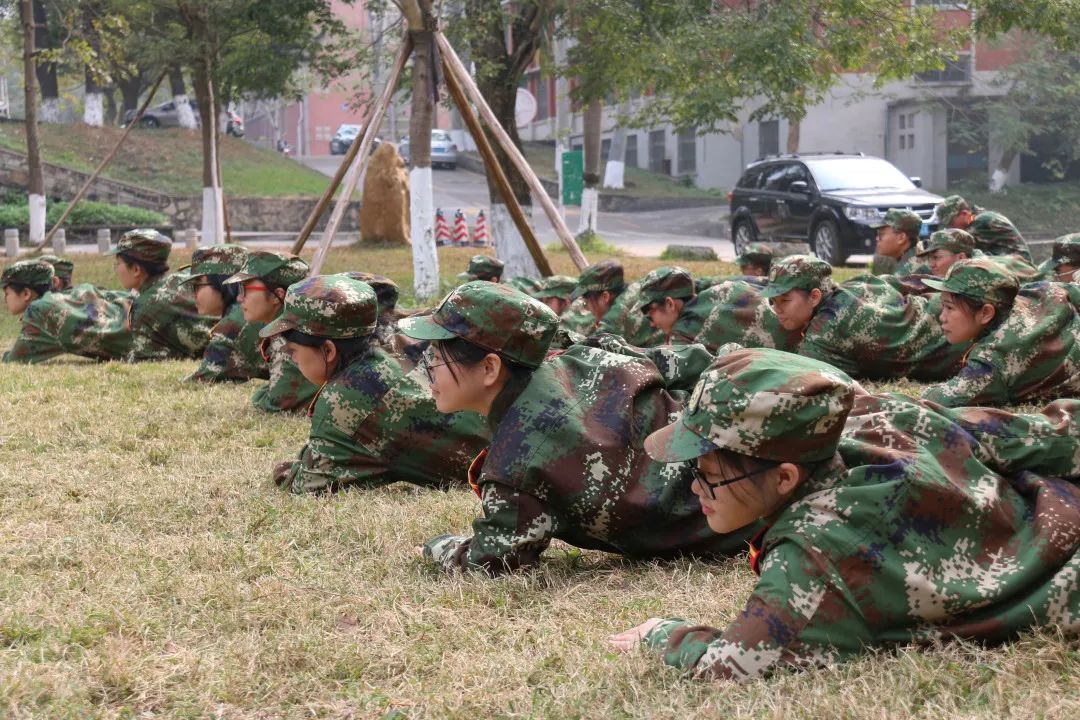 军微壁纸图片的魅力与影响,军微壁纸图片的魅力及其影响力探讨