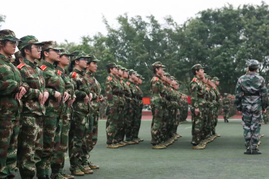 军微壁纸图片的魅力与影响,军微壁纸图片的魅力及其影响力探讨