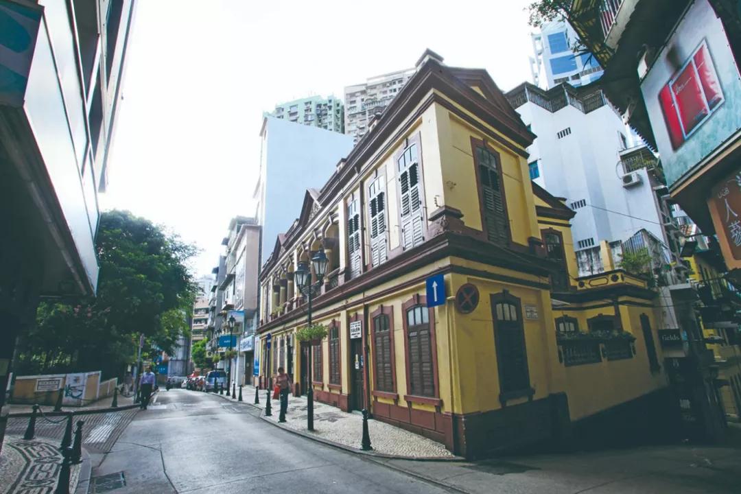 澳门今晚必开一肖是那个——探索生肖彩票的魅力与玄机，澳门生肖彩票探索，今晚必开一肖的神秘魅力与玄机